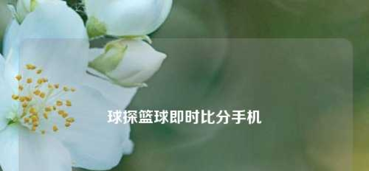球探篮球即时比分手机