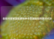 曼联对曼城英超赛程争夺英超桂冠的激烈对决