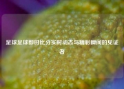 足球足球即时比分实时动态与精彩瞬间的见证者