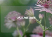 快船比分最新视频