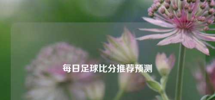 每日足球比分推荐预测